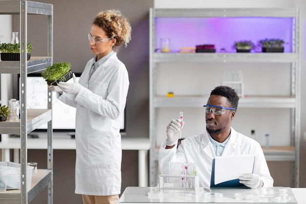 Researchers in the laboratory checking plant