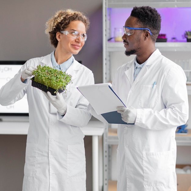 Researchers in the laboratory with safety glasses checking plant