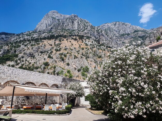 Resting zone, rocky mountains in Kotor, Montenegro