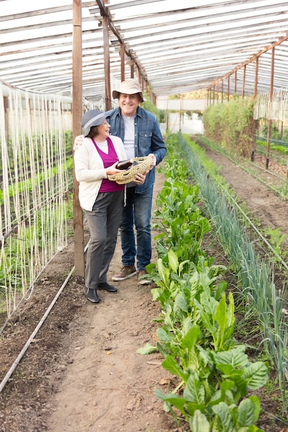 Retired couple having a great day in the greenhouse