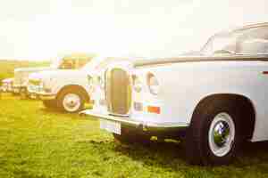 Free photo retro car parked on grass