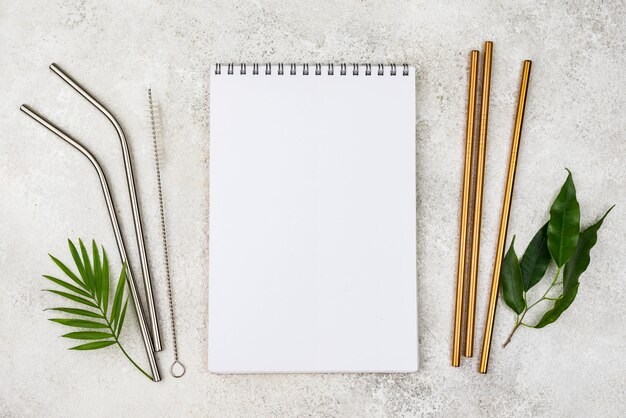 Reusable metal straws copy space notepad