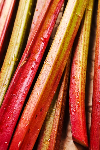 Free photo rhubarb