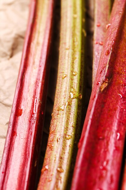 Free photo rhubarb