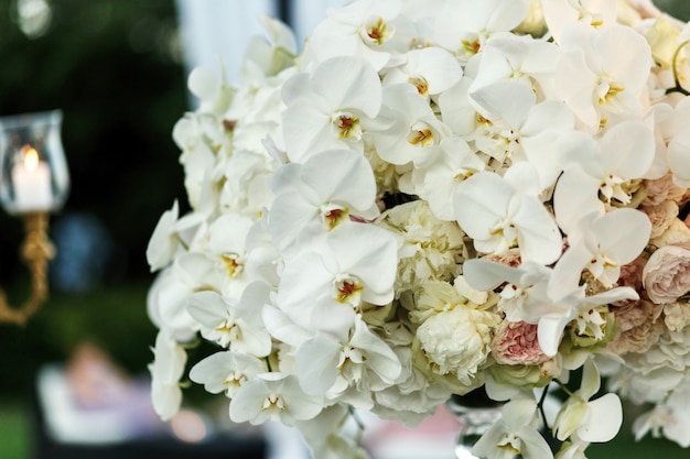 白い牡丹と蘭でできた豊かな花束