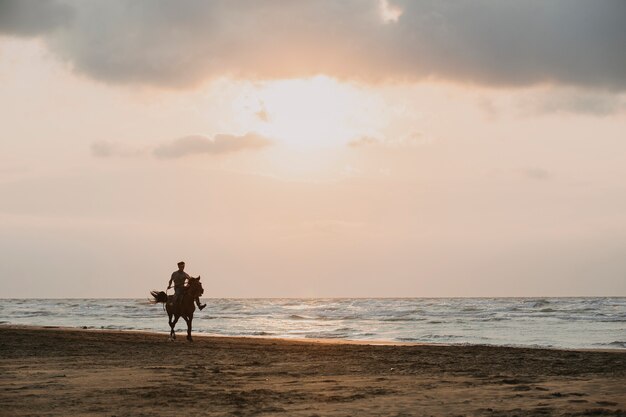 Riding a horse at the beach in the sunset