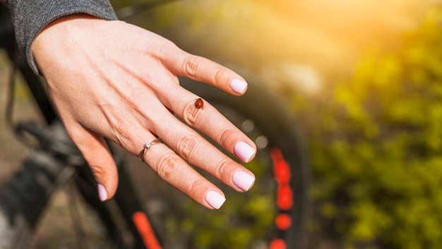 Ring and ladybug on a woman hand