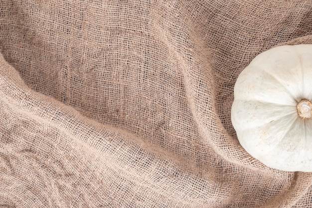 Free photo ripe big pumpkin on burlap