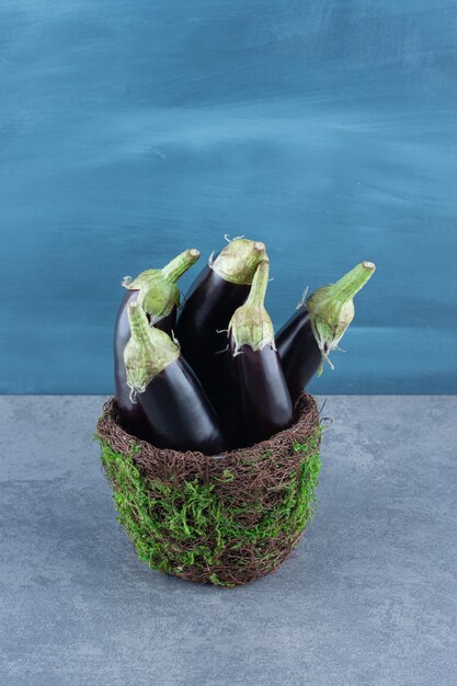 Ripe fresh eggplants on garden vase.