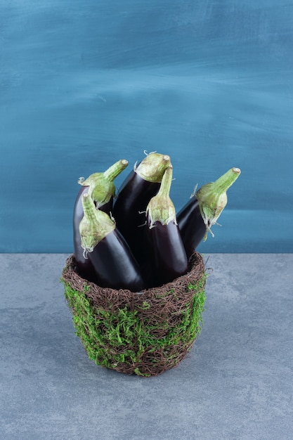 Ripe fresh eggplants on garden vase.