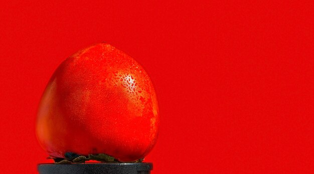 Ripe juicy orange persimmon fruit isolated on bright red background Wallpaper idea or space decoration Drops of water on the sale of persimmons