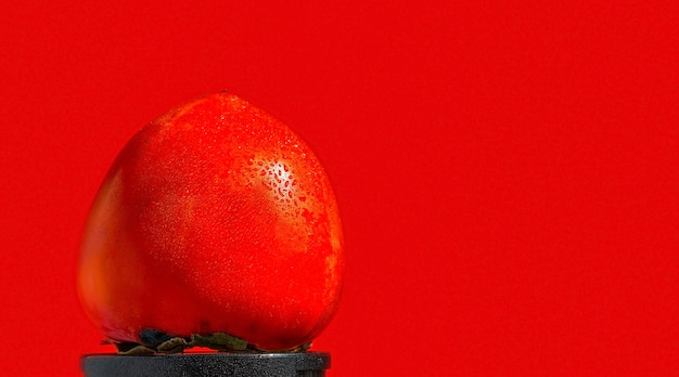 Ripe juicy orange persimmon fruit isolated on bright red background Wallpaper idea or space decoration Drops of water on the sale of persimmons