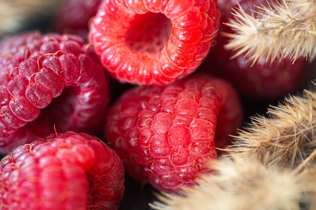 잘 익은 나무 딸기 매크로 촬영 선택적 초점 과일 배경