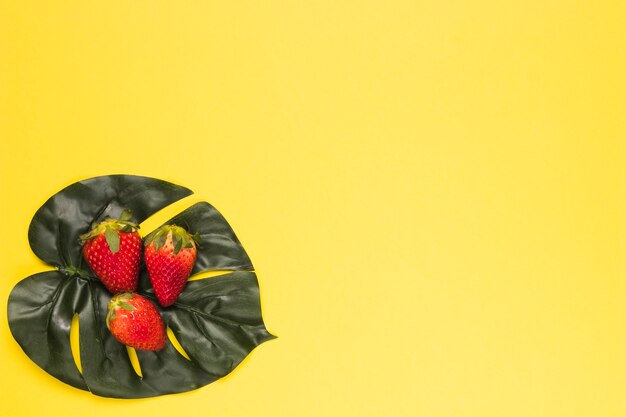 Ripe red strawberry on monstera leaf 