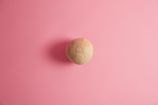 Ripe round fresh melon isolated on pink background. Canataloupe for eating. Natural organic summer ripe fruit contains vitamins, fiber can support your heart health. Delicious snack. Superfood concept