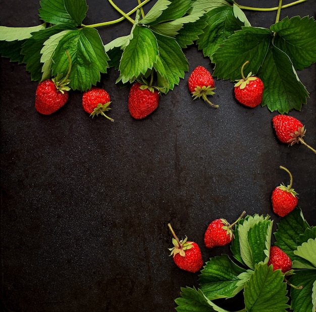Ripe strawberries and leaves on dark background. Top view