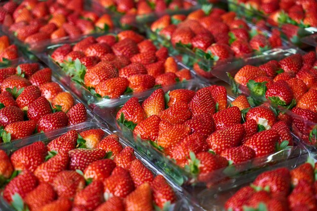 Ripe strawberries ready to eat