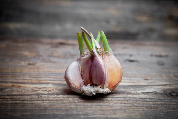 Ripped off garlic on a dark wooden background. close-up view.