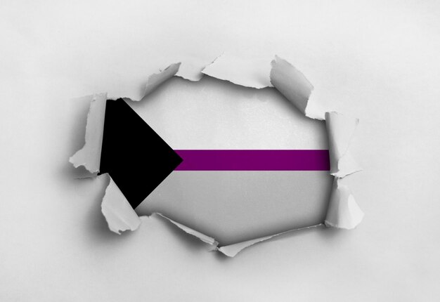 Ripped paper with flag Demisexual
