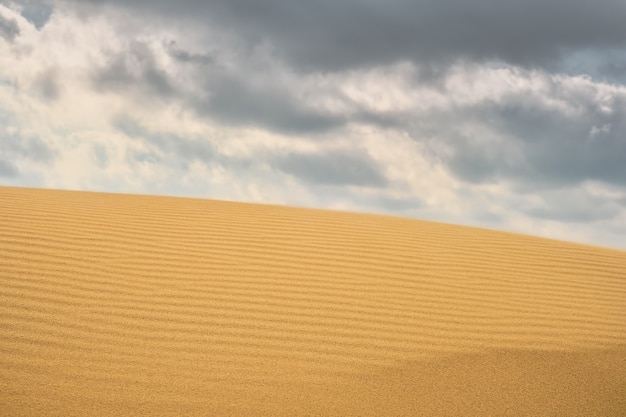 Foto gratuita increspature sulle dune di sabbia sulla costa del mar nero. duna di sabbia ravvicinata per lo sfondo, banner per l'estate.