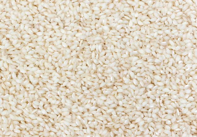 兔丝燕麦