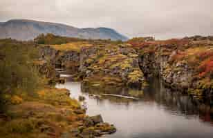 Free photo the river flowing through the rocks  captured in thingvellir national park in iceland