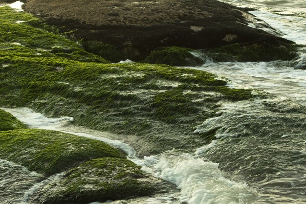 녹색 이끼로 덮여 바위를 흐르는 강