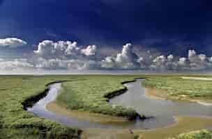 Бесплатное фото Река проходит через покрытое травой поле с красивыми облаками в небе