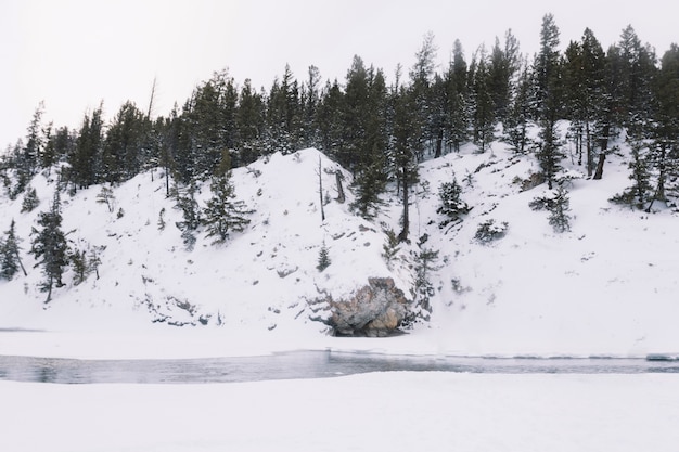 Бесплатное фото Река в снежном лесу