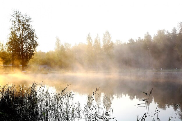 river on nature landscape