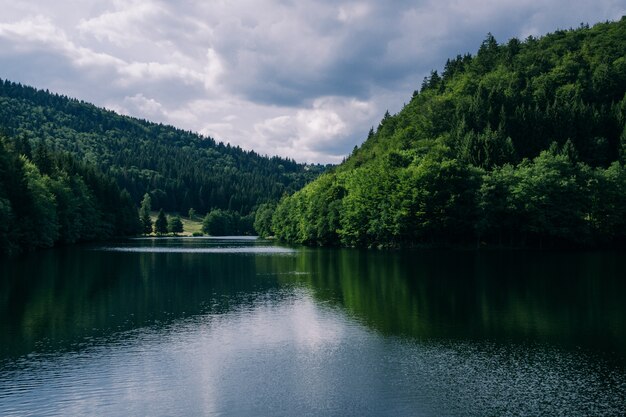 ドイツのテューリンゲン州の曇り空の下で森に囲まれた川-自然の概念に最適