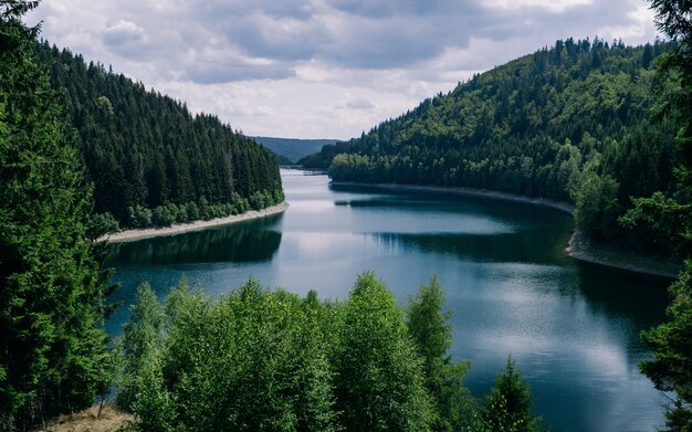 독일 튀 링겐의 흐린 하늘 아래 숲으로 둘러싸인 강