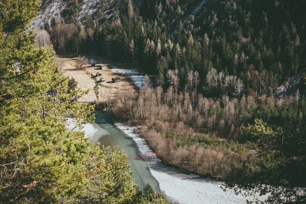 River surrounded by hills covered in forests under the sunlight