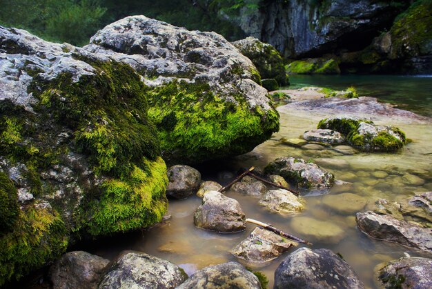 River surrounded by rocks covered in mosses under the sunlight in Bovec in Slovenia