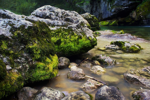 Река, окруженная скалами, покрытыми мхом, под солнечным светом в Бовце в Словении.