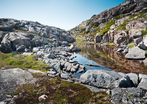 グリーンランドの日光の下でコケに覆われた岩に囲まれた川
