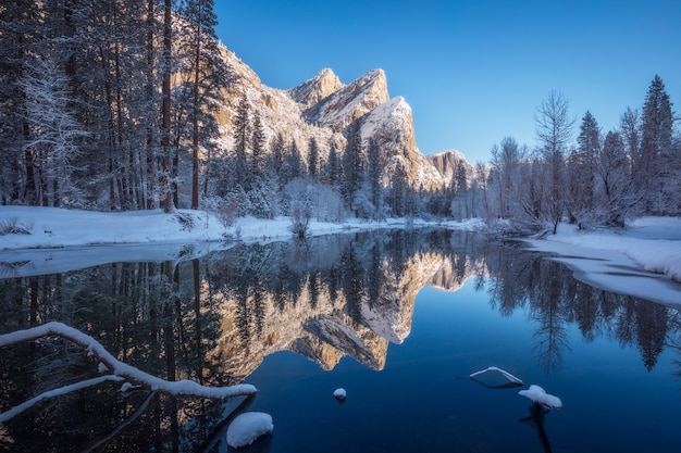 겨울 동안 눈으로 덮여 나무에 둘러싸인 강