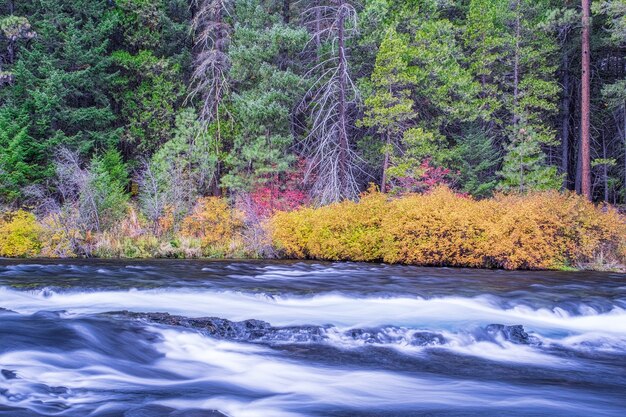 River surrounded with flowers in autumn during daytime