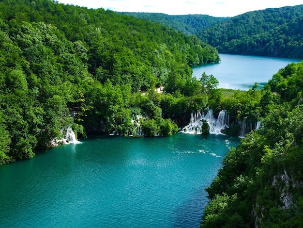 Река и деревья в национальном парке Плитвицкие озера в Хорватии