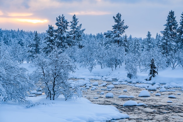 スウェーデンの冬は雪が積もった川と近くの森が雪に覆われています