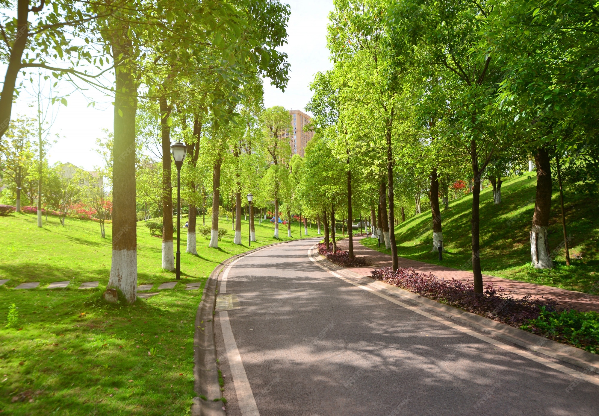 公園 画像 無料のベクター ストックフォト Psd