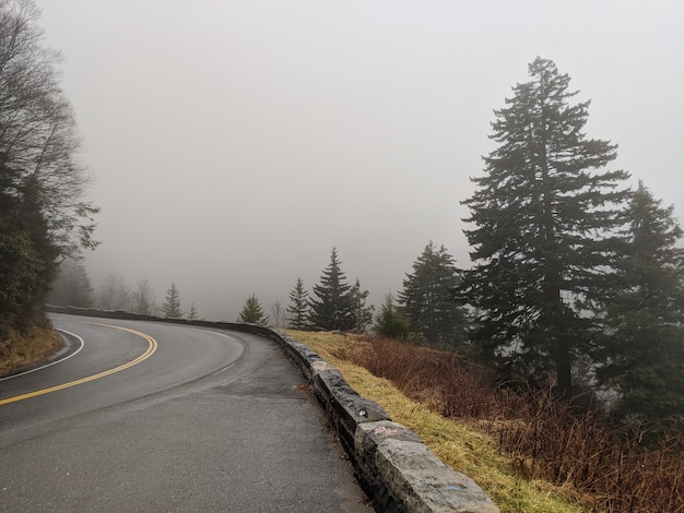 Foto gratuita strada intorno alle montagne in una giornata nebbiosa