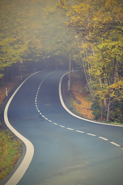 "Road in autumnal forest"