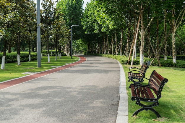 The road and the benches are in the park