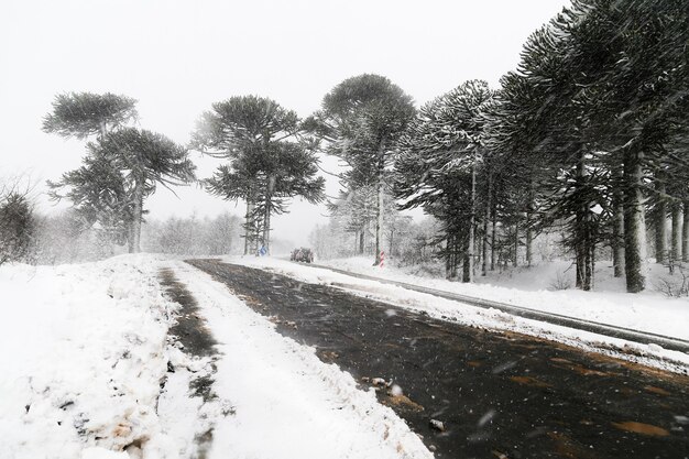 Дорога зимой покрыта талым снегом