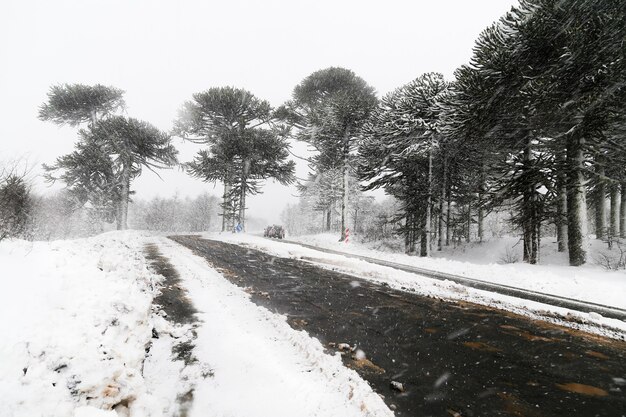 Road covered with melted snow in the winter