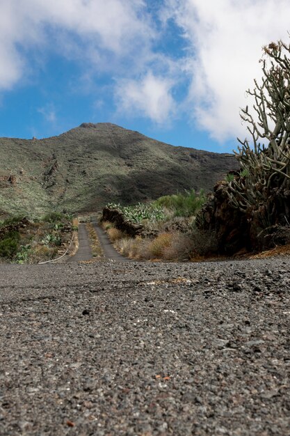 Road goind up on a tropical hill