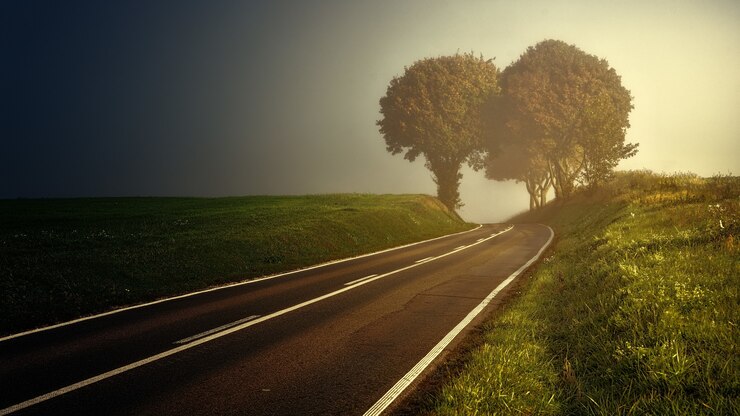Road between grasses