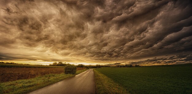 Road in between green and brown fields