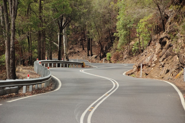 road landscape